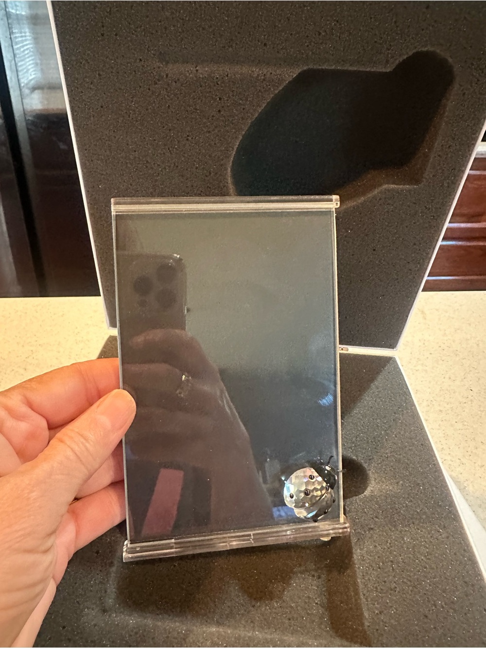 Swarovski crystal ladybug embellished frame with stand. Box included.  New
